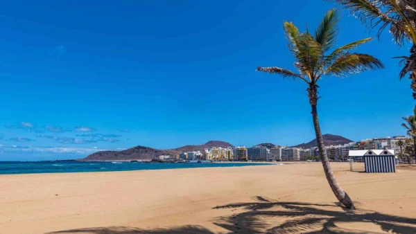 Beach Photo Playa de Las Canteras (Playa Grande)