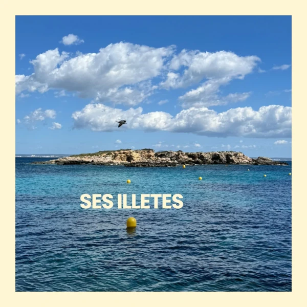Beach Photo Ses Illetes (Hotel, Airbnb, or Playa)