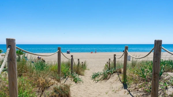 Beach Photo Playa Las Dunas